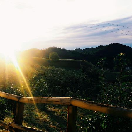 マロースティカ Agriturismo Al Ciliegioヴィラ エクステリア 写真