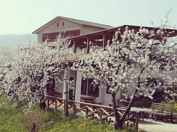 マロースティカ Agriturismo Al Ciliegioヴィラ エクステリア 写真